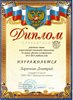 2013-2014 Ларичкин Дмитрий 8л